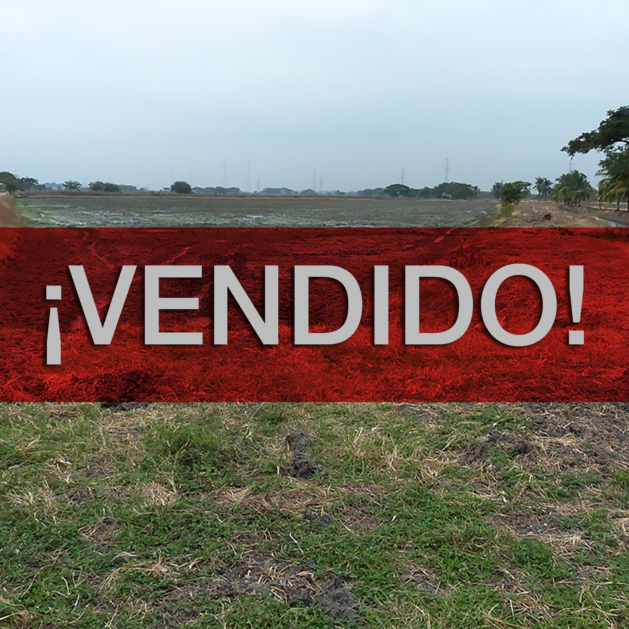 Concluido